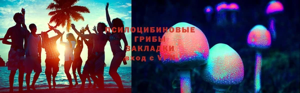 гидропоника Нязепетровск