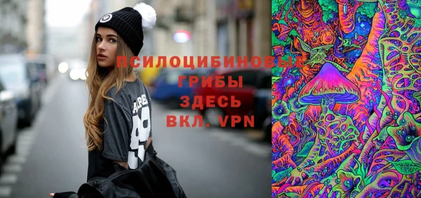 МДМА Няндома