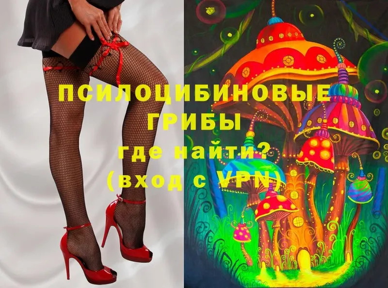 Псилоцибиновые грибы MAGIC MUSHROOMS  где купить наркотик  Вязьма 