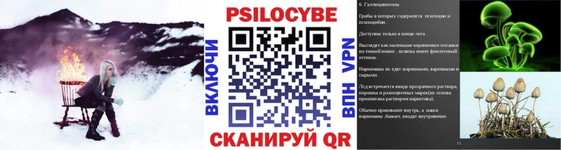 Галлюциногенные грибы Psilocybine cubensis  Вязьма 