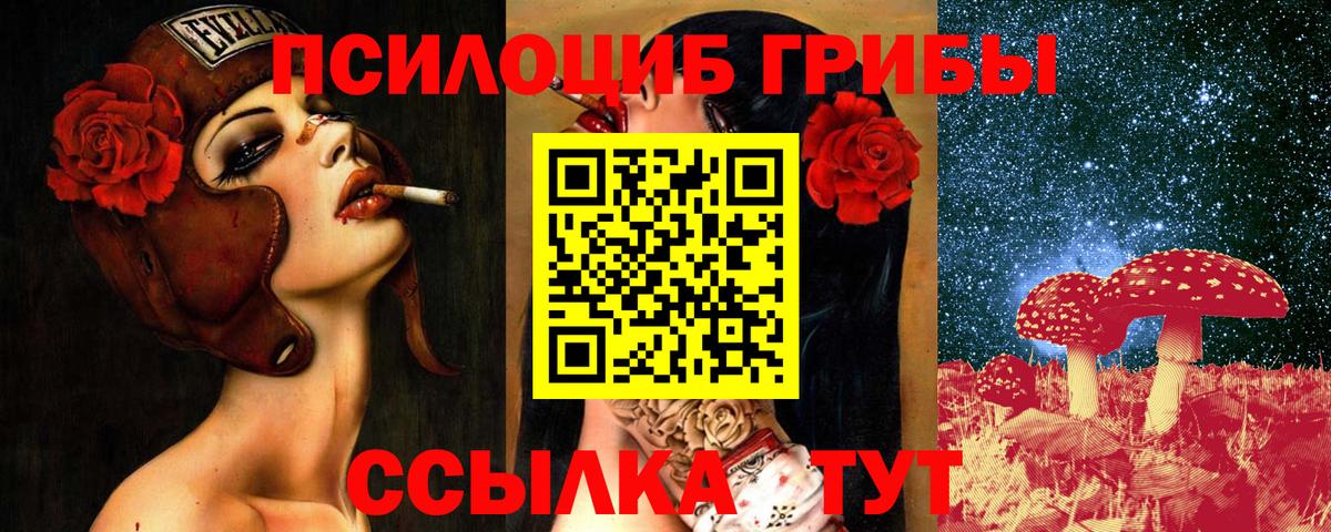 купить закладку  Вязьма  Галлюциногенные грибы Psilocybe 