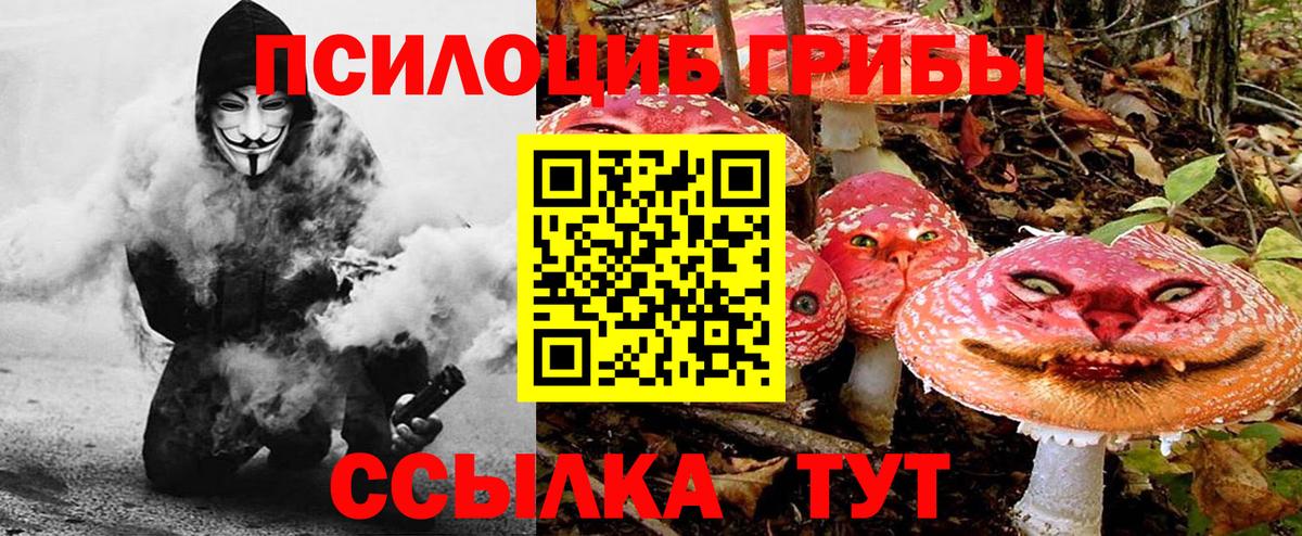 Псилоцибиновые грибы мицелий Вязьма