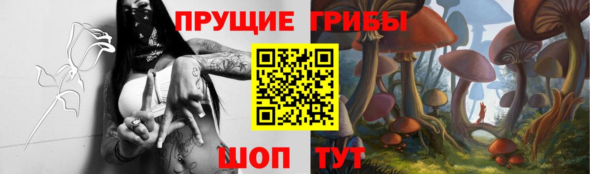 Галлюциногенные грибы Cubensis Вязьма